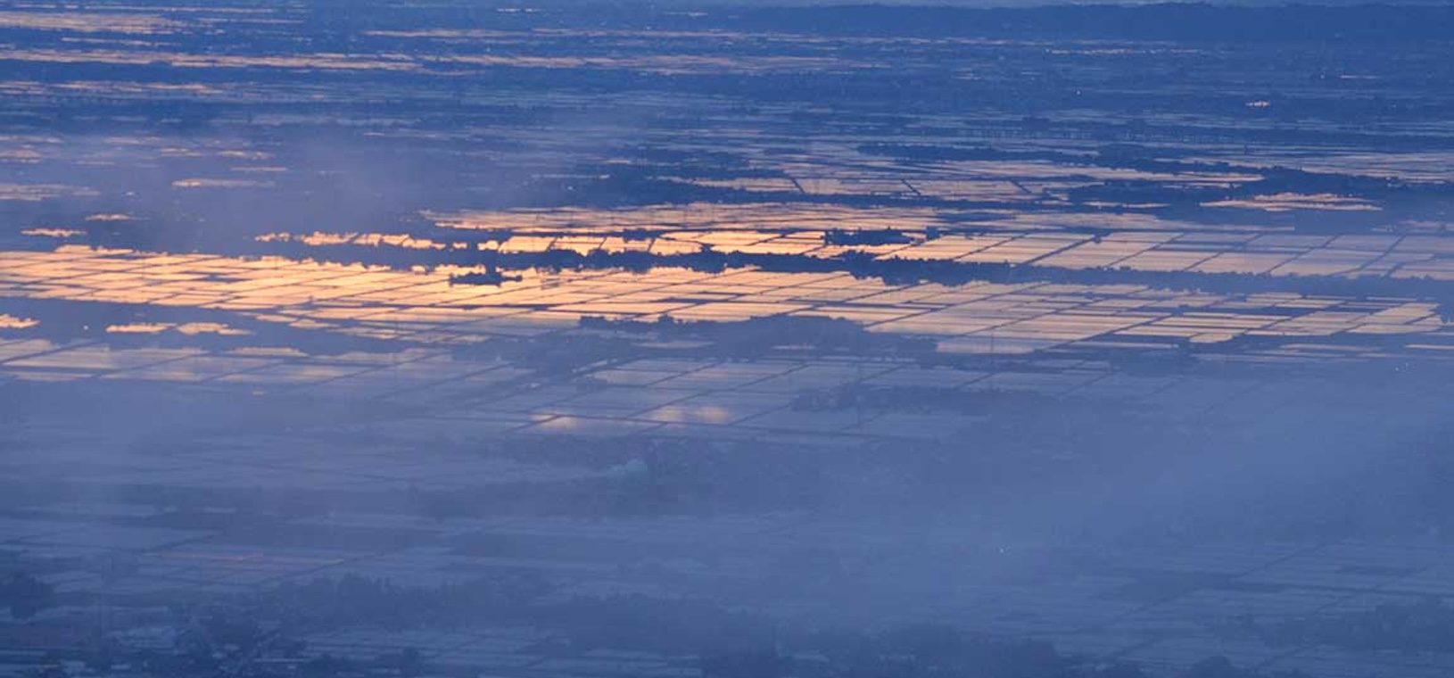 朝霧の蒲原平野